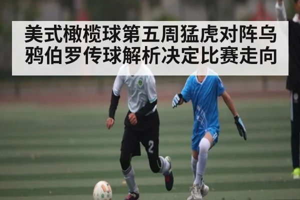 美式橄榄球第五周猛虎对阵乌鸦伯罗传球解析决定比赛走向