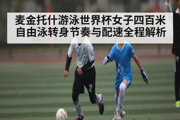 麦金托什游泳世界杯女子四百米自由泳转身节奏与配速全程解析