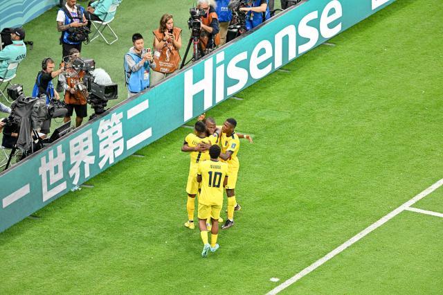 开云体育官网-厄瓜多尔的欢庆有他一份 队友：胜利献给卡斯蒂略